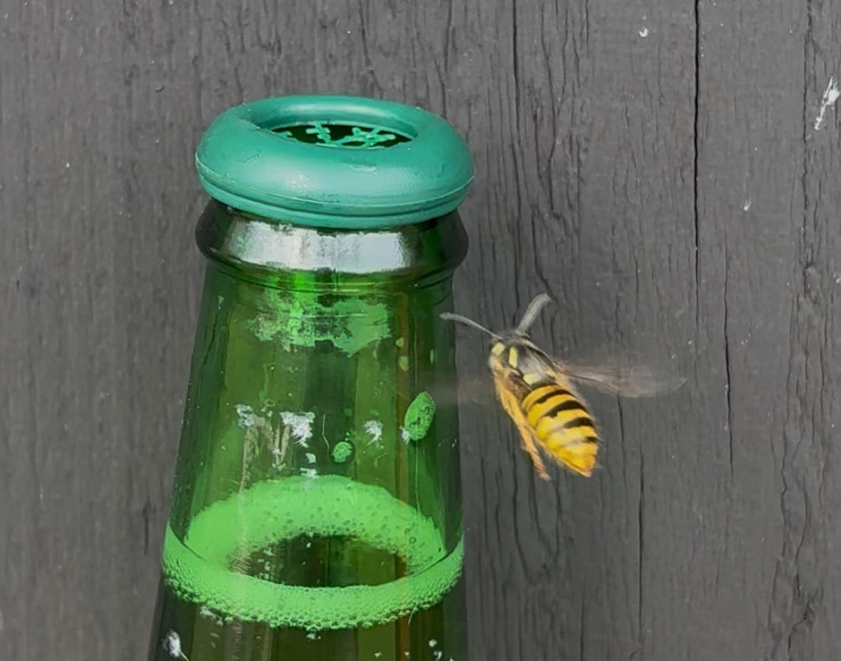 BugSafe - förpackningar i olika storlekar